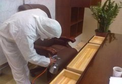 日常保洁服务 室内除甲醛  北京居然三六零